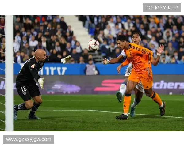 南安普顿俱乐部宣布新赛季引援计划目标 聚焦年轻球员及阵容深度提升