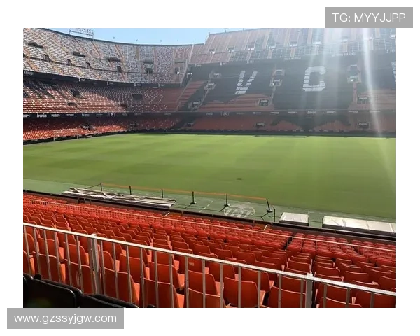 瓦伦西亚足球俱乐部的辉煌历程与未来发展展望