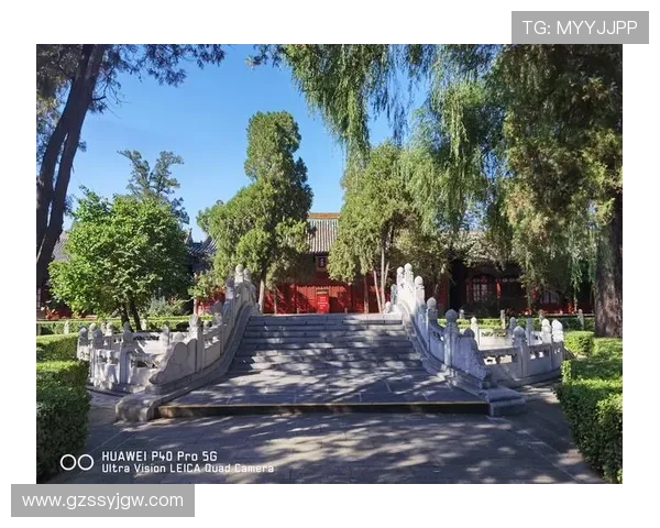 诺丁汉森林俱乐部崛起之路与英格兰足球传统力量的现代传承