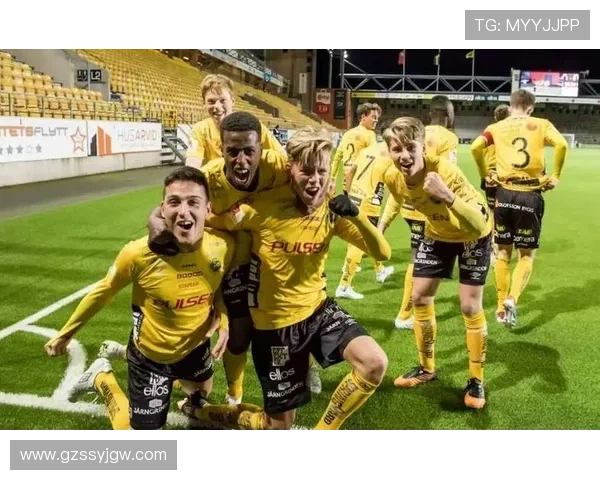 圣保利足球俱乐部的历史与文化传承探索：德国足球的独特风格与精神